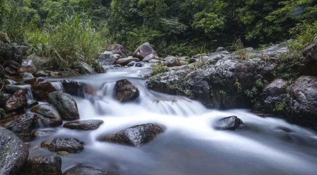 敏捷小球